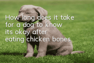 How long does it take for a dog to know it's okay after eating chicken bones?