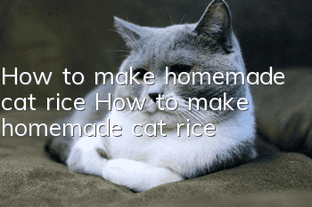 How to make homemade cat rice? How to make homemade cat rice