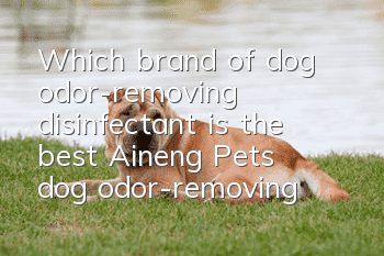 Which brand of dog odor-removing disinfectant is the best? Aineng Pets’ dog odor-removing disinfectant is the first choice!