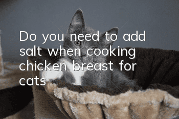 Do you need to add salt when cooking chicken breast for cats?