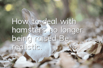 How to deal with hamsters no longer being raised? Be realistic.