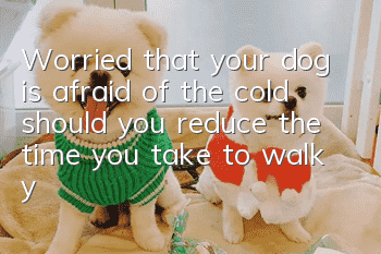 Worried that your dog is afraid of the cold, should you reduce the time you take to walk your dog?