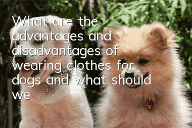 What are the advantages and disadvantages of wearing clothes for dogs, and what should we pay attention to?