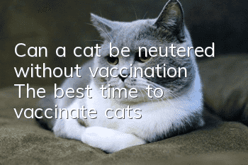 Can a cat be neutered without vaccination? The best time to vaccinate cats