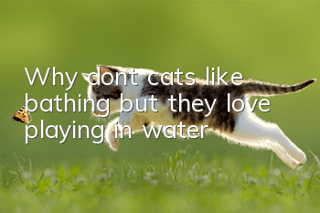 Why don’t cats like bathing, but they love playing in water?