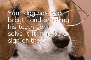 Your dog has bad breath and brushing his teeth can’t solve it? It may be a sign of these diseases