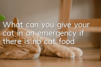 What can you give your cat in an emergency if there is no cat food?