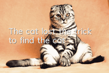 The cat lost the trick to find the cat