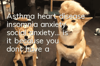 Asthma, heart disease, insomnia, anxiety, social anxiety... is it because you don't have a pet? !