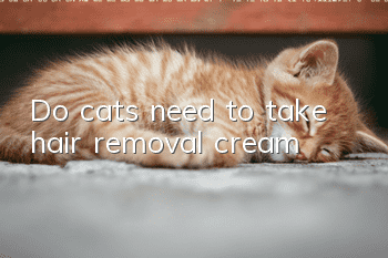 Do cats need to take hair removal cream?