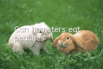 Can hamsters eat peaches?