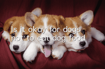 Is it okay for dogs not to eat dog food?