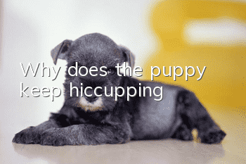 Why does the puppy keep hiccupping?