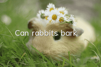 Can rabbits bark?