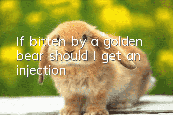 If bitten by a golden bear, should I get an injection?