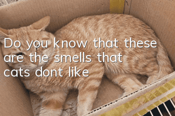 Do you know that these are the smells that cats don’t like?