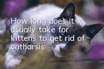 How long does it usually take for kittens to get rid of catharsis?