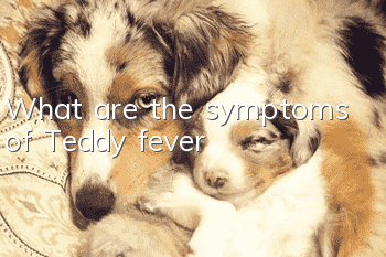 What are the symptoms of Teddy fever?