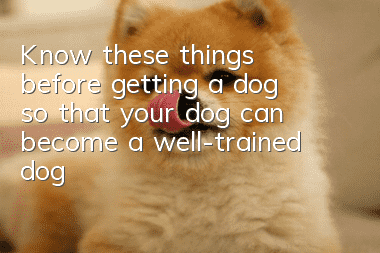 Know these things before getting a dog so that your dog can become a well-trained dog