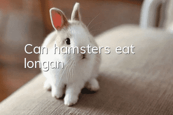 Can hamsters eat longan?