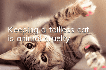 Keeping a tailless cat is animal cruelty!