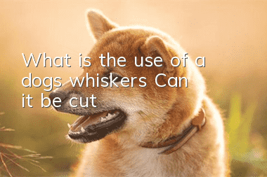 What is the use of a dog’s whiskers? Can it be cut?