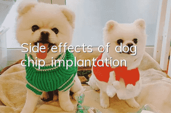 Side effects of dog chip implantation