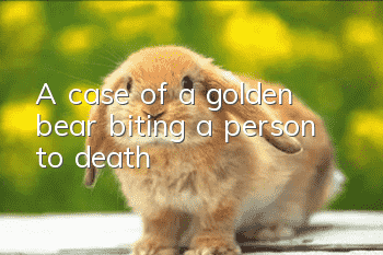 A case of a golden bear biting a person to death