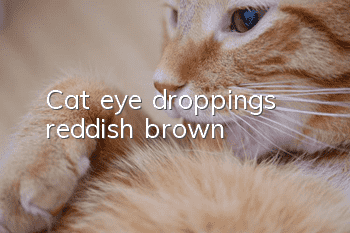 Cat eye droppings reddish brown