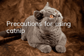 Precautions for using catnip