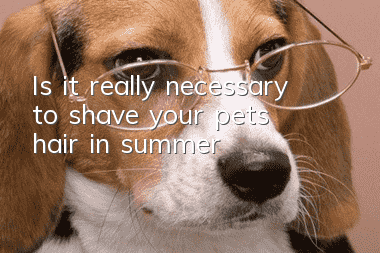 Is it really necessary to shave your pet’s hair in summer?