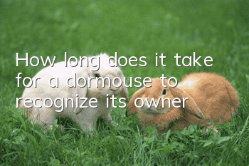 How long does it take for a dormouse to recognize its owner?