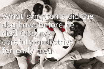 What symptoms did the dog have before he died? Observe carefully and strive for early treatment