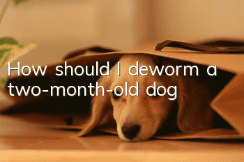 How should I deworm a two-month-old dog?