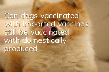 Can dogs vaccinated with imported vaccines still be vaccinated with domestically produced vaccines?