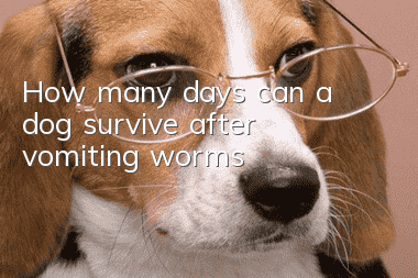 How many days can a dog survive after vomiting worms?