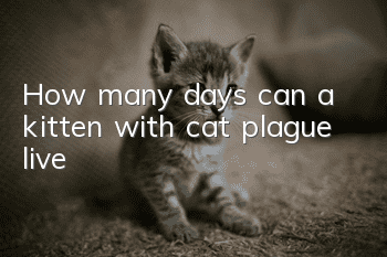 How many days can a kitten with cat plague live?