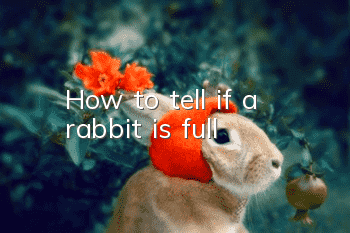 How to tell if a rabbit is full