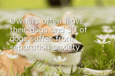 Owners often leave their dogs, and 30% of dogs suffer from separation anxiety!