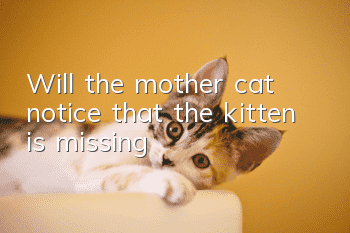 Will the mother cat notice that the kitten is missing?