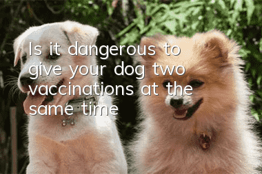 Is it dangerous to give your dog two vaccinations at the same time?