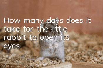 How many days does it take for the little rabbit to open its eyes?