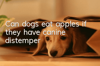 Can dogs eat apples if they have canine distemper?