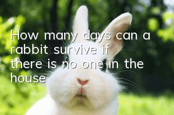 How many days can a rabbit survive if there is no one in the house?