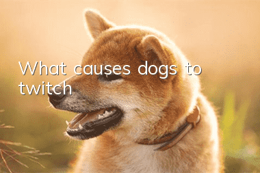 What causes dogs to twitch?