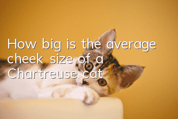 How big is the average cheek size of a Chartreuse cat?