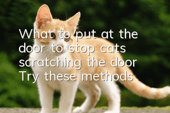 What to put at the door to stop cats scratching the door? Try these methods