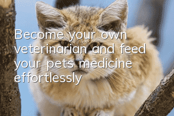 Become your own veterinarian and feed your pets medicine effortlessly