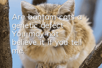 Are bantam cats a genetic defect? ​​You may not believe it if you tell me.