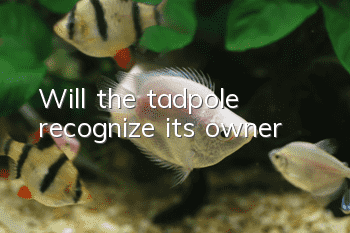 Will the tadpole recognize its owner?